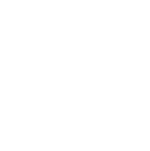 Professional Technical Expertise